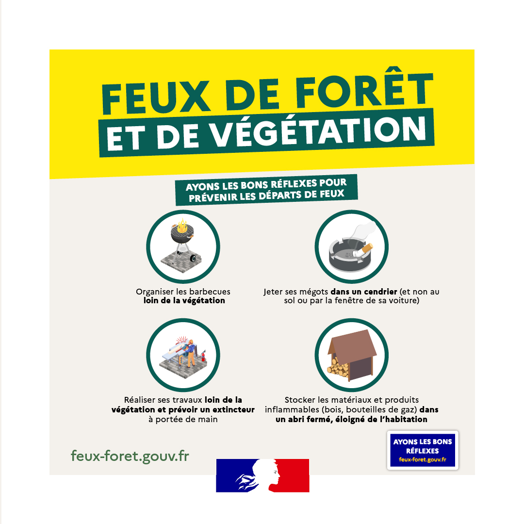 Lire la suite à propos de l’article Les bons réflexes pour prévenir les feux de forêts